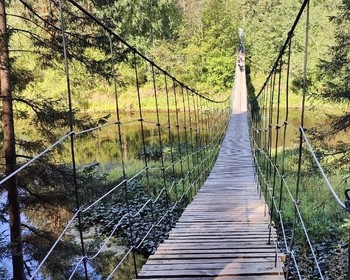 Отдых и пешая прогулка в природном парке «Оленьи ручьи»