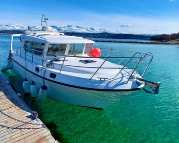 Морская прогулка в поисках китов или рыбалка