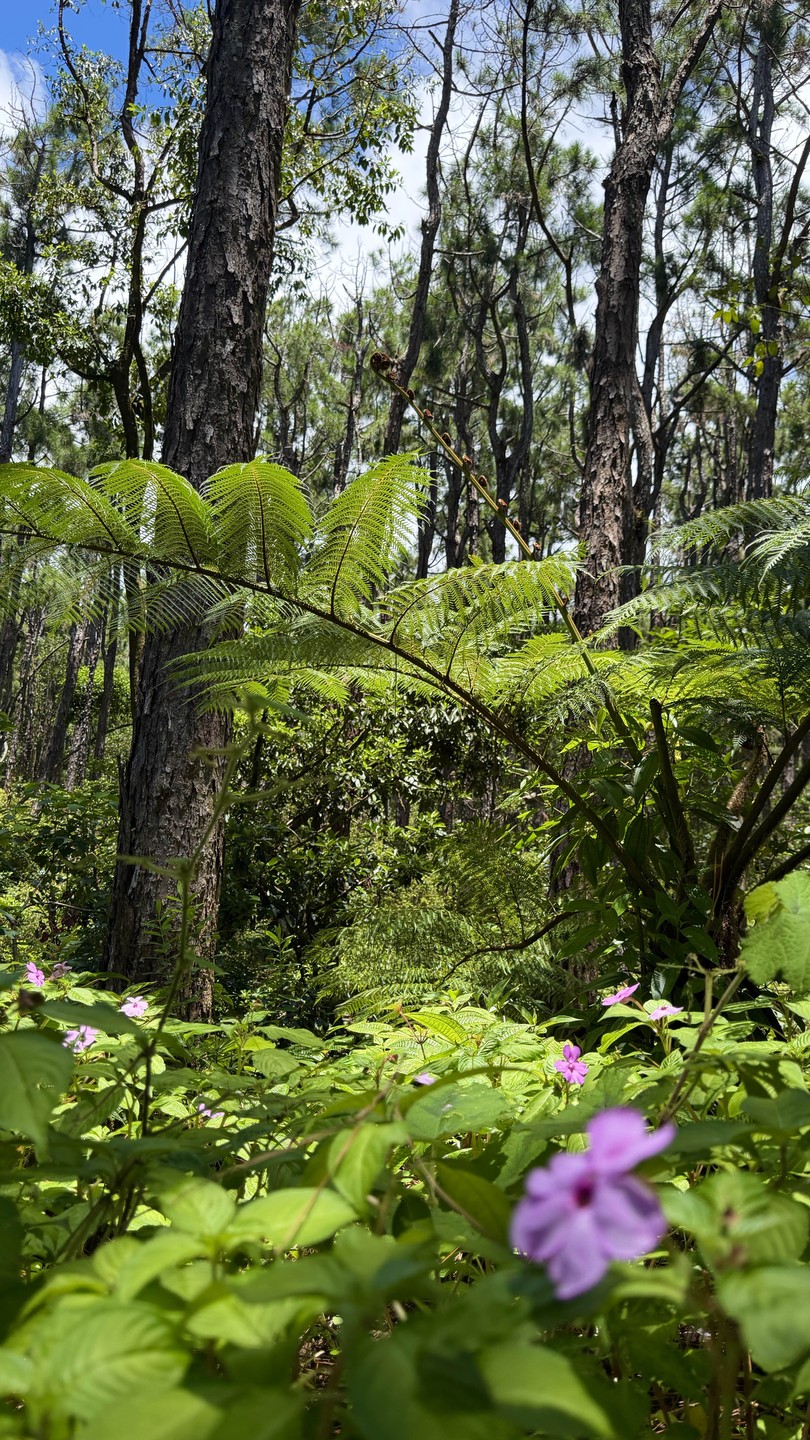 Были учтены все мои предпочтения. Дэн проявил действительно индивидуальный подход, и показал мне настоящий, такой разный