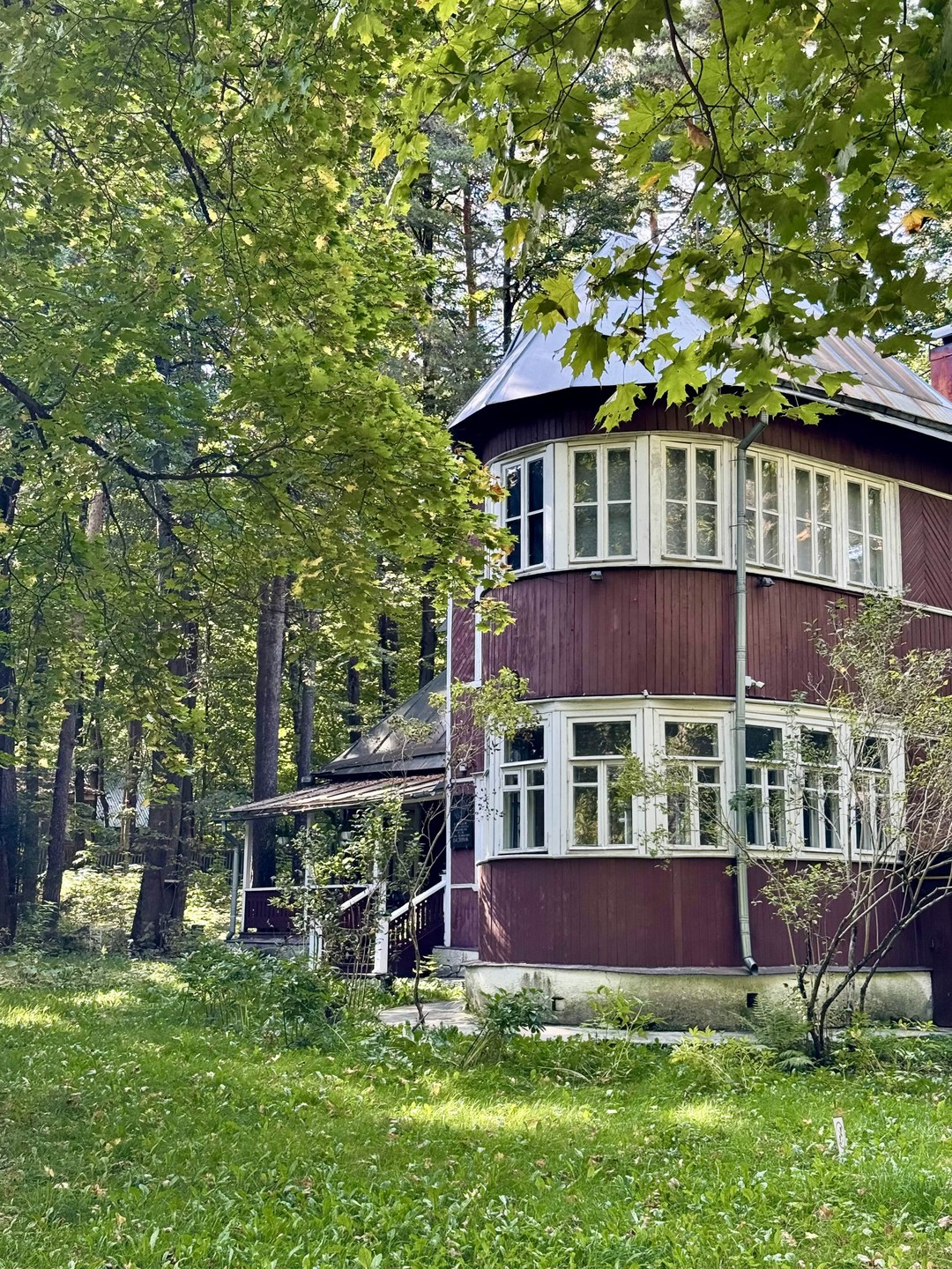 Уютное Переделкино (Александра)