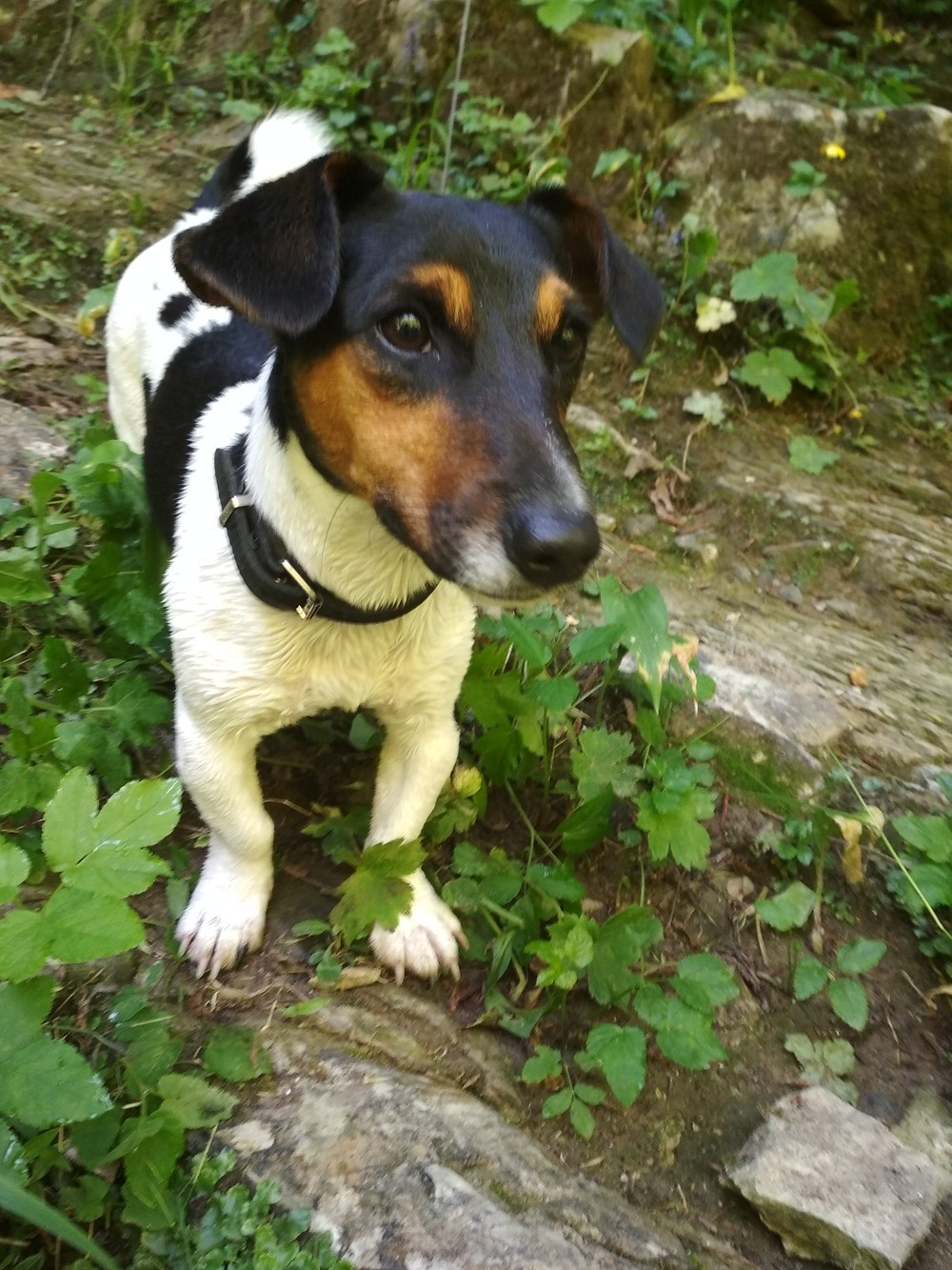 Белые скалы: путешествие в первобытный мир Сочи (13/15)