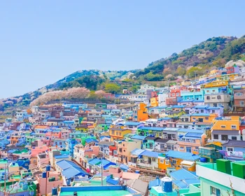 Переезд в Пусан и первое знакомство с городом