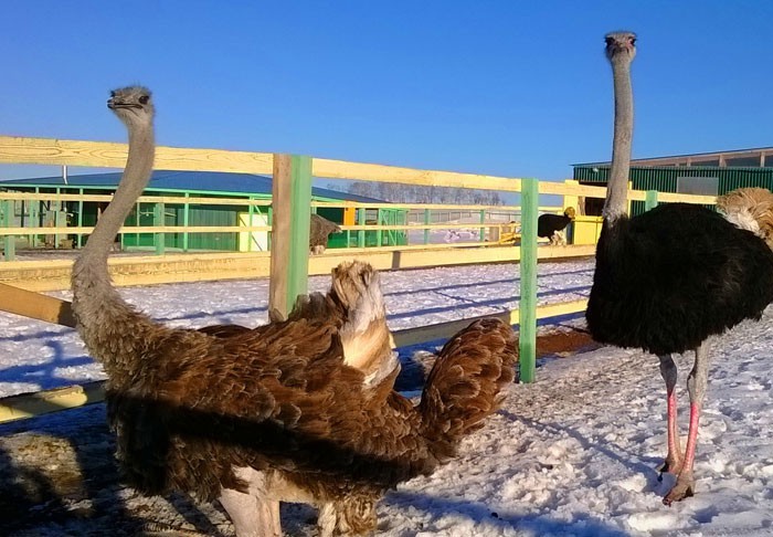 Башкирское предуралье: от озерных глубин до горных вершин