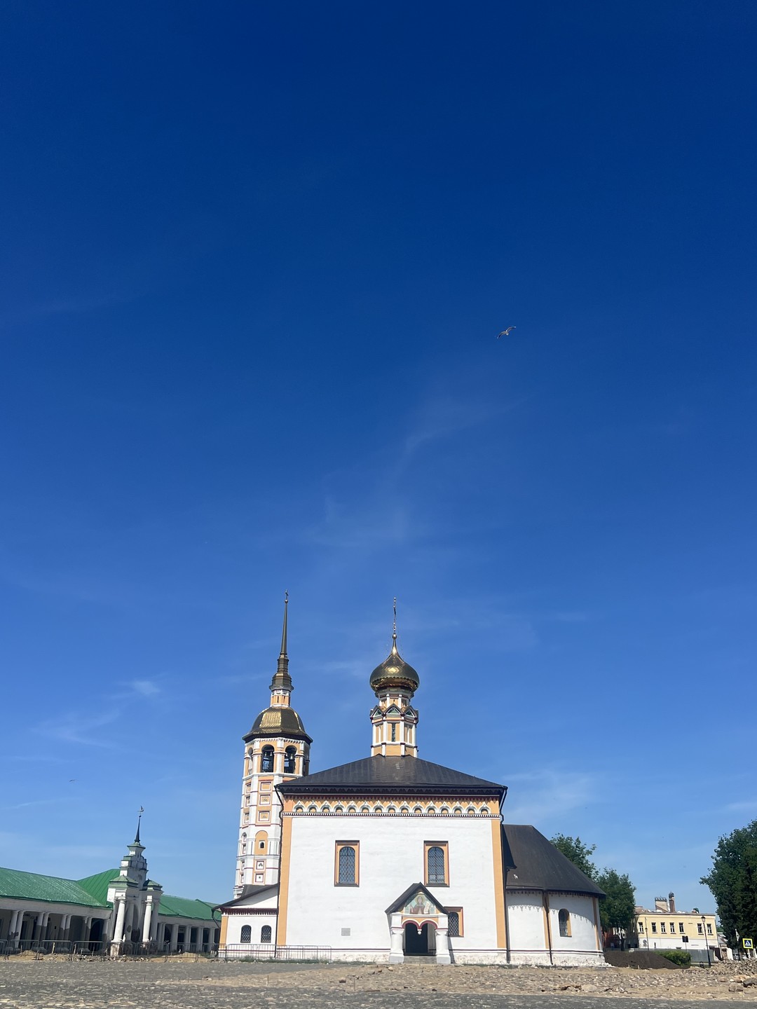 Обзорная экскурсия по Суздалю «Гулять так гулять» (Елена)