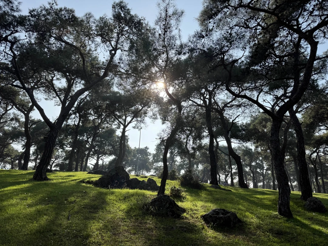 Были на экскурсии компанией друзей с детьми. Не заметили как пролетел день! Благодаря Лидии, Принцевы острова