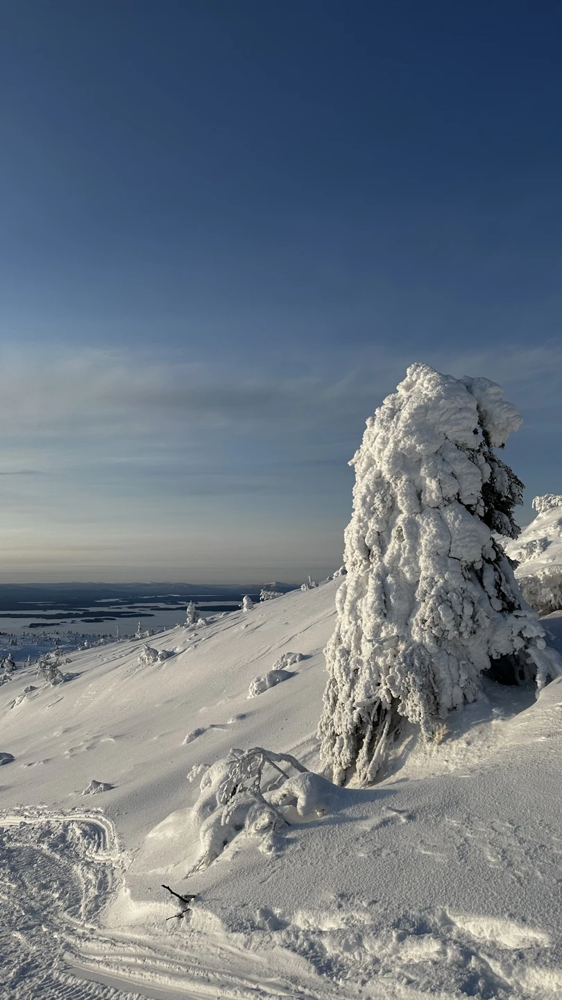 Хотели бы выразить огромную благодарность за эту экскурсию! Остались под большим впечатлением от красоты маршрута! Спасибо