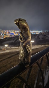 Фото отзыва 3: экскурсия "Ночной Красноярск с высоты"