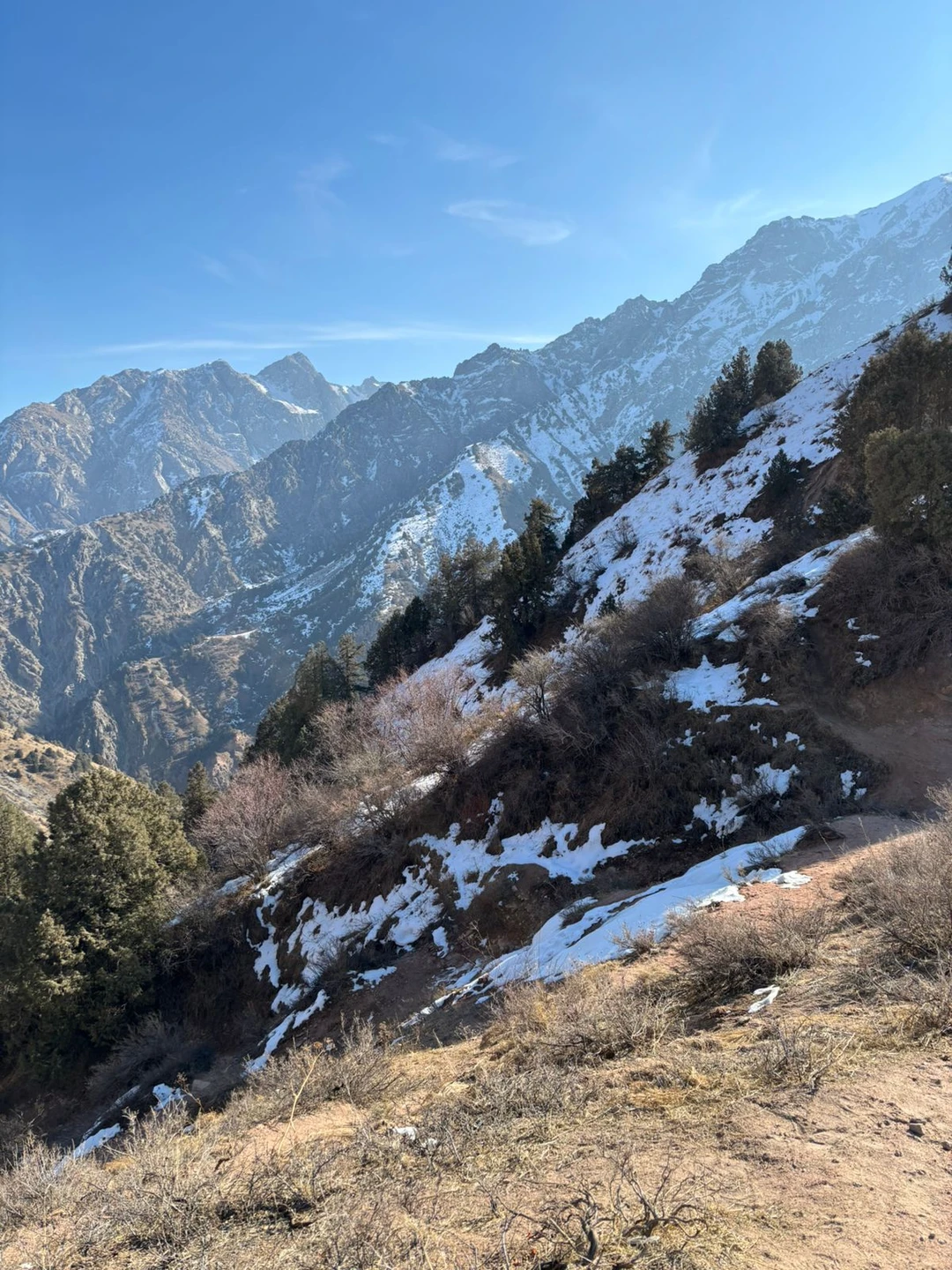 Мы, к сожалению, ходили на Малый Чимган, поскольку Большой - слишком серьезное мероприятие для второй половины