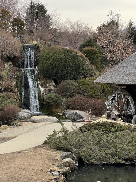 Дорога из Токио к подножию Фудзи заняла примерно 2.5 часа. Александр - прекрасный гид и водитель