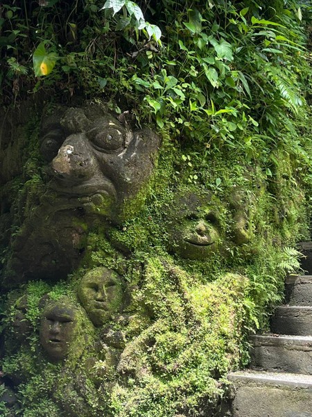 самые приятные и теплые впечатления от Бали на этой экскурсии. Гид Viru прекрасно говорил по русски