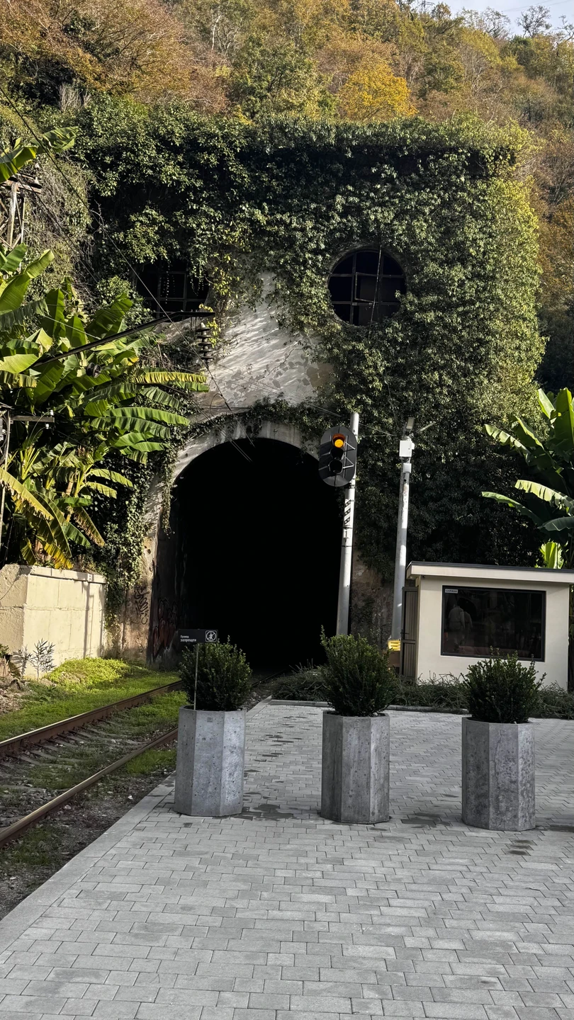 Экскурсия в Абхазию оставила незабываемые впечатления и подарила массу положительных эмоций. Страна удивляет своей природой, историей