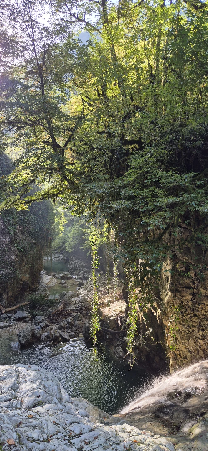 Ездили на экскурсию с Гарри, все прошло великолепно! Впечатления только положительные. Виды красивые, Гарри на отлично