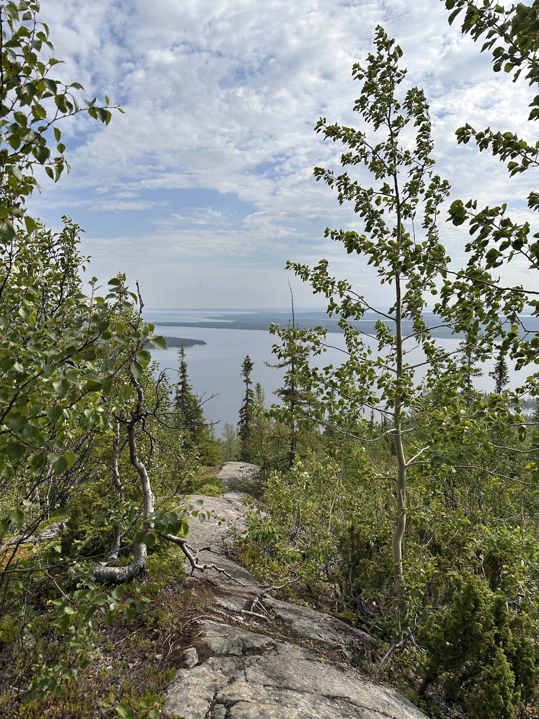 Поехали сразу после прилета- нас забрали из аэропорта, успели даже на фестиваль:)