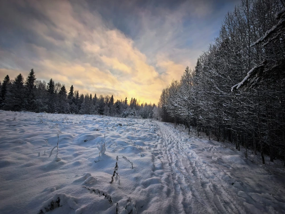 Советую! Гид Ольга - профессионал. Красивые заповедные места, загадочные природные явления очаровывают. Тонкая красота Севера открывается