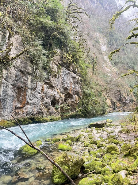 Впервые побывали в Абхазии, спасибо гиду Гамлету за интересную экскурсию, было много информации про историю Абхазию