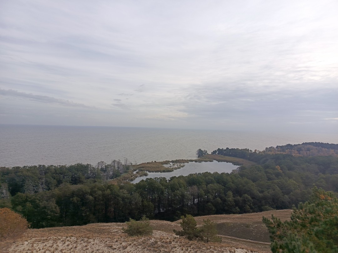 Комфортная поездка на Куршскую косу (Елизавета)