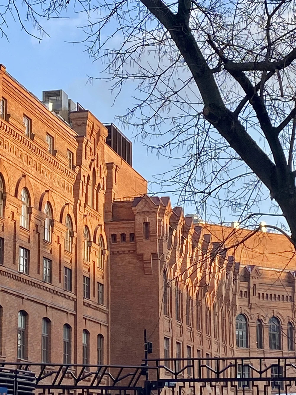 Учить или лечить? Удивительные истории о врачах и педагогах в Хамовниках (19/21)