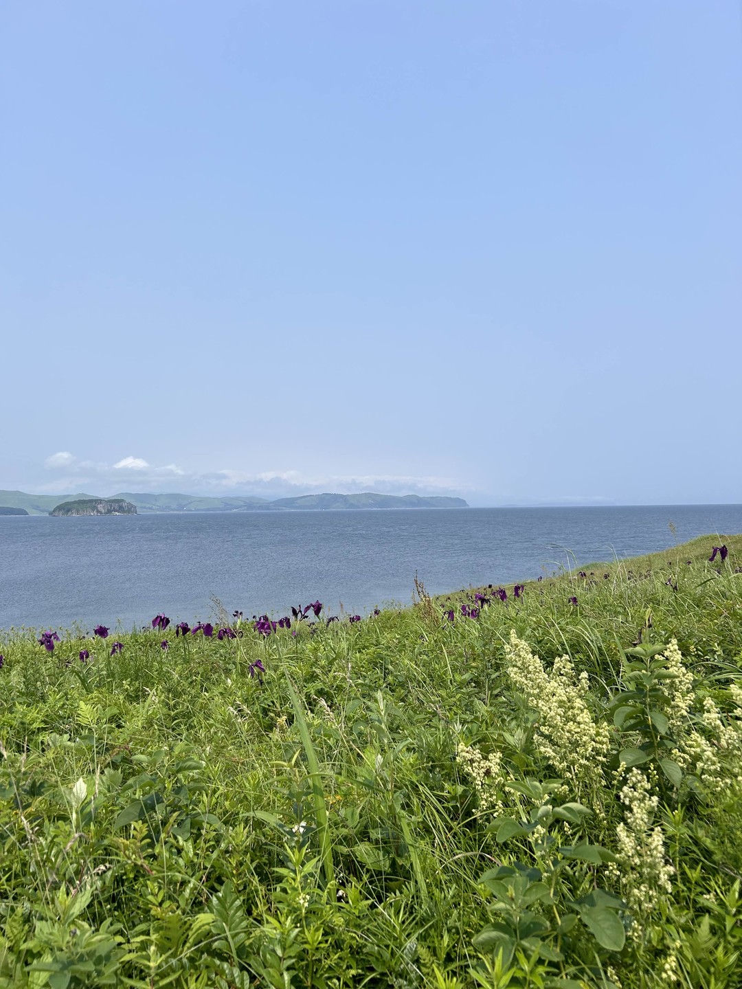 Огонь поездка!