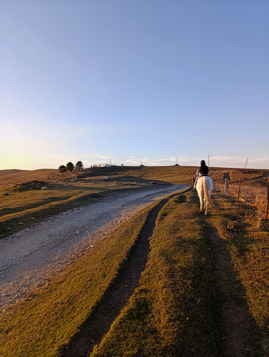 Это было невероятно! Прекрасные виды, изумительные лошади и непередаваемые эмоции! Я в восторге! Огромное спасибо!