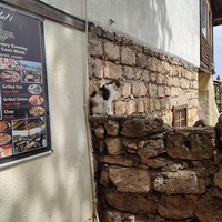 Фото отзыва 3: экскурсия "Старый город Антальи: главное за 2,5 часа в мини-группе"