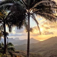 Фото отзыва 2: экскурсия "Маврикий навсегда: авторская экскурсия с любовью к острову"