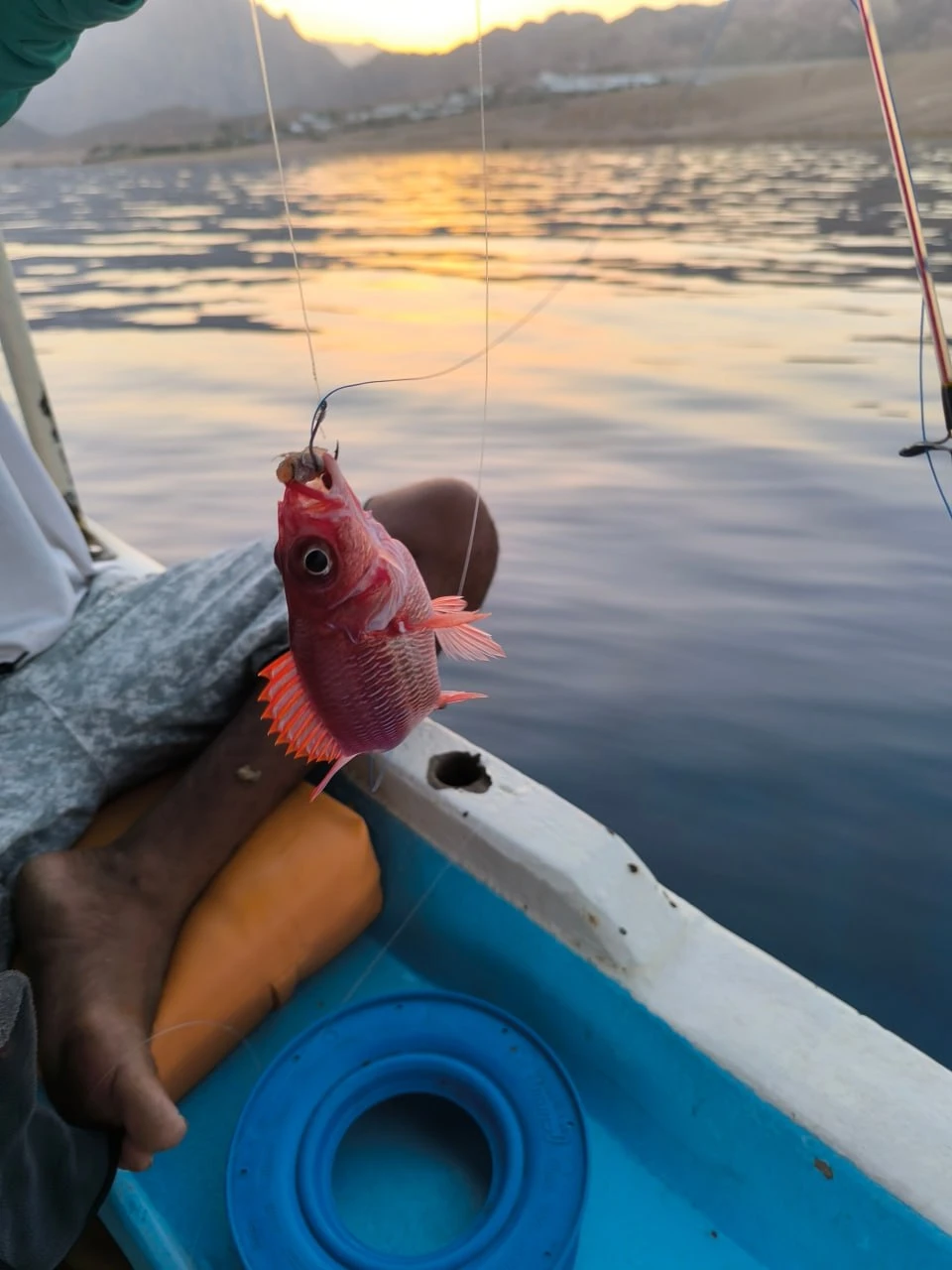 Валид сопровождал меня в процессе всей рыбалки: забрал из отеля на машине, погрузил на лодку, помогал