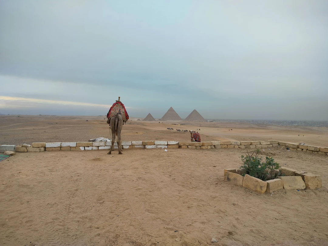 Если честно, не ожидал чего-то особенного от этой экскурсии, но она мне неожиданно очень понравилась. Во-первых