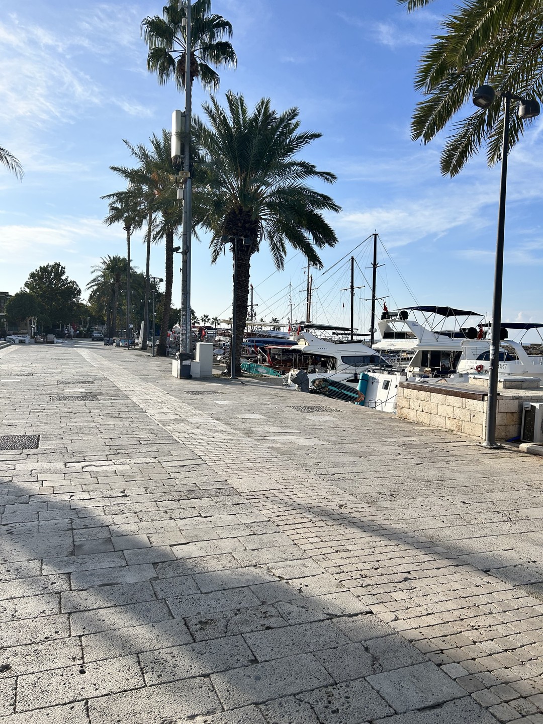 Античный Сиде: зарождение цивилизации (Анна)