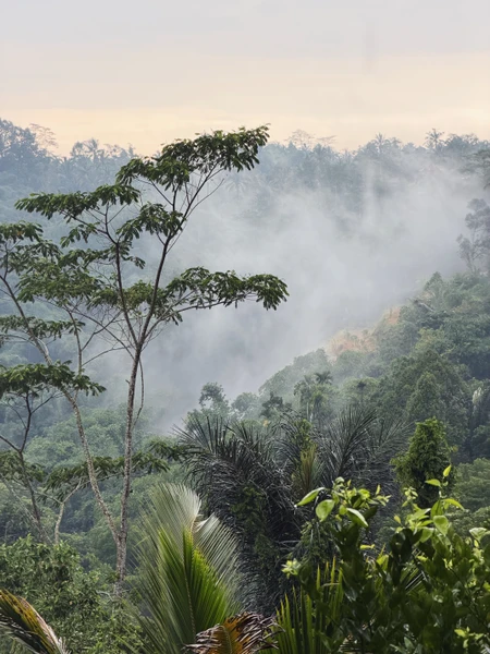 Интересная, комфортная, разнообразная и познавательная экскурсия) гид Suwitri отлично знает русский язык, всю экскурсию рассказывала о