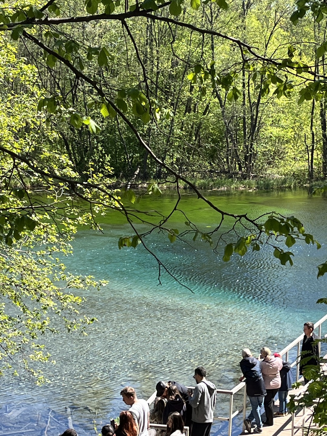 Дмитрий спасибо за путешествие! Это был поистине чудесный день! Успели все и даже заехали на озеро! Всем рекомендую!