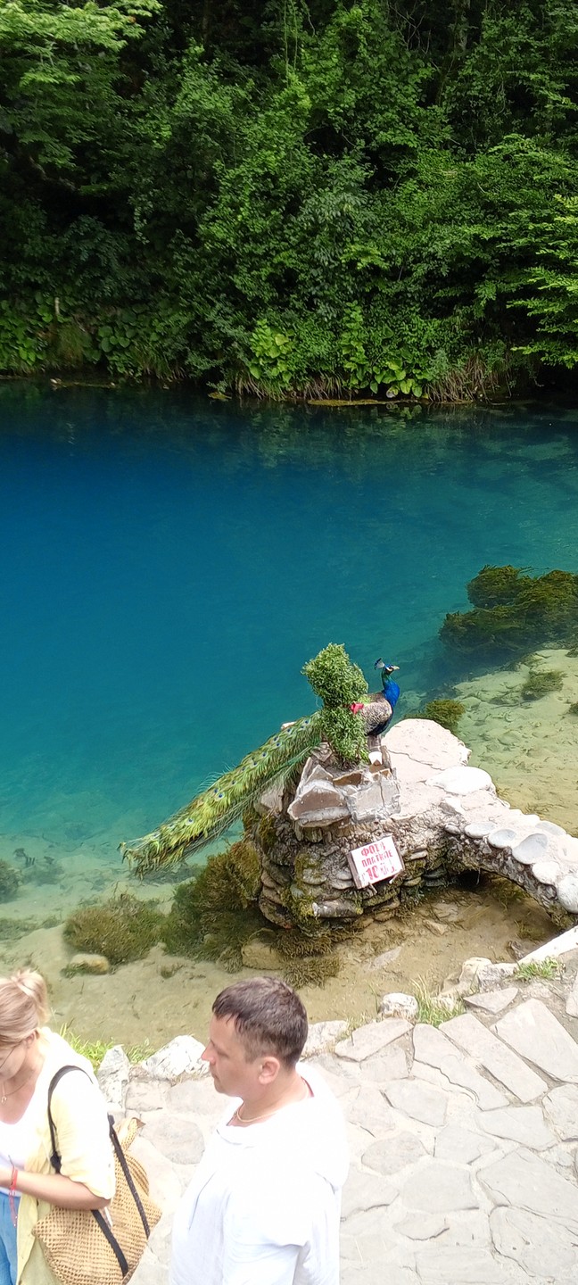 Гагра, Рица, Новый Афон и мандариновый сад: групповая поездка из Адлера (Александра)