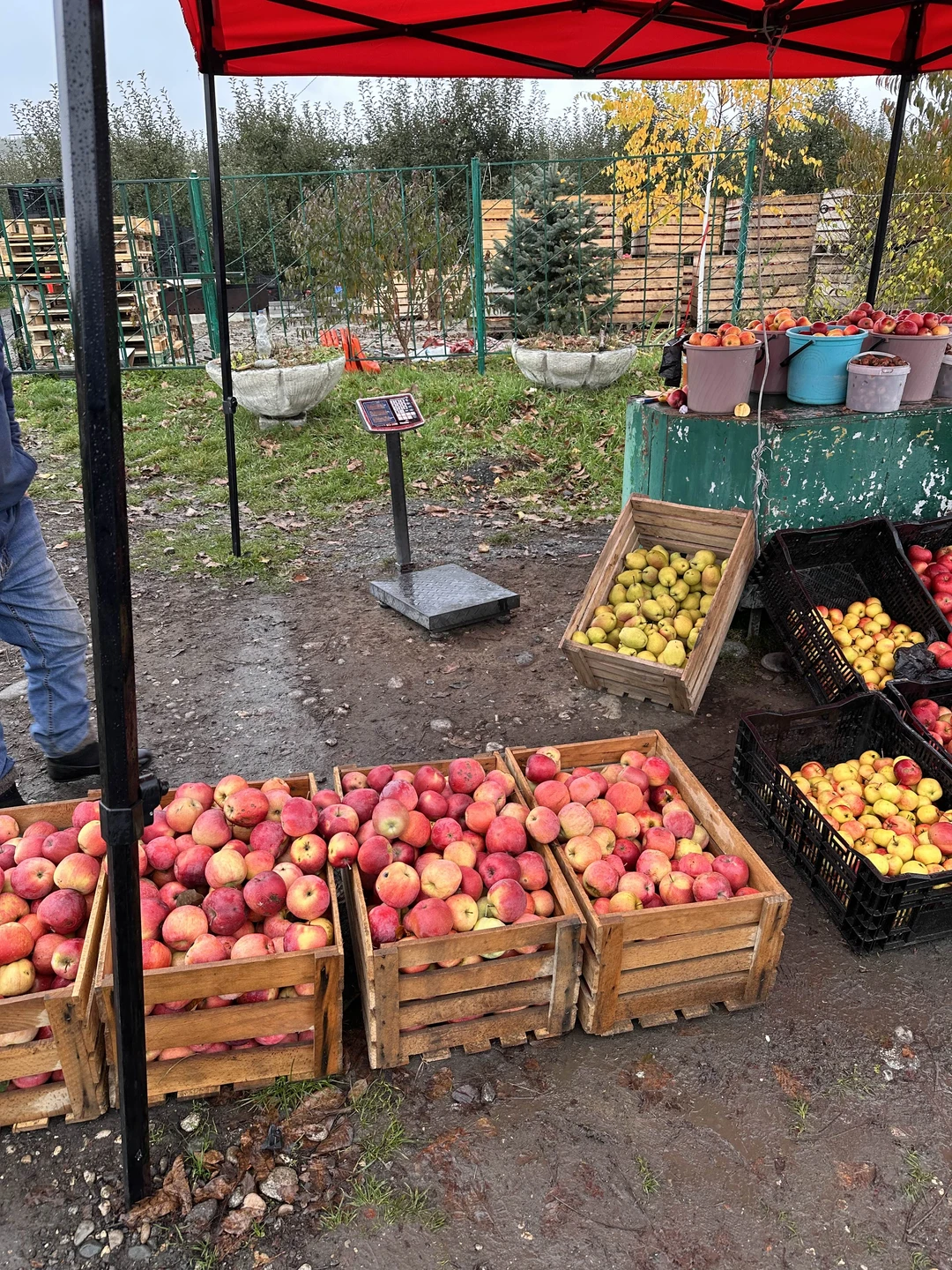 Благодарим Юрия за комфортную красивую и насыщенную поездку! Замок винодела впечатлил своей красотой, жаль, что такое