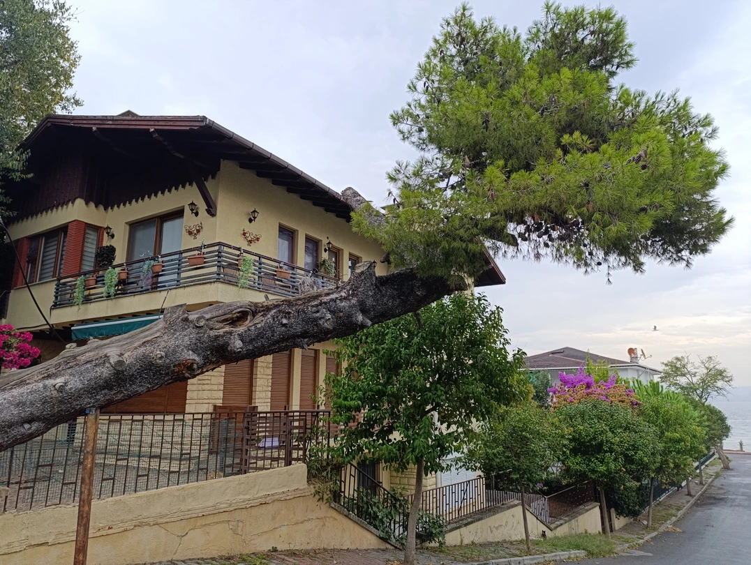 Всё нормально: трансфер вовремя в удобном минивене, кораблик удобный, обед вкусный