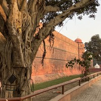 Фото отзыва 1: экскурсия "Тур-знакомство с Индией: главные места Дели, Джайпура, Агры и Варанаси за 8 дней"