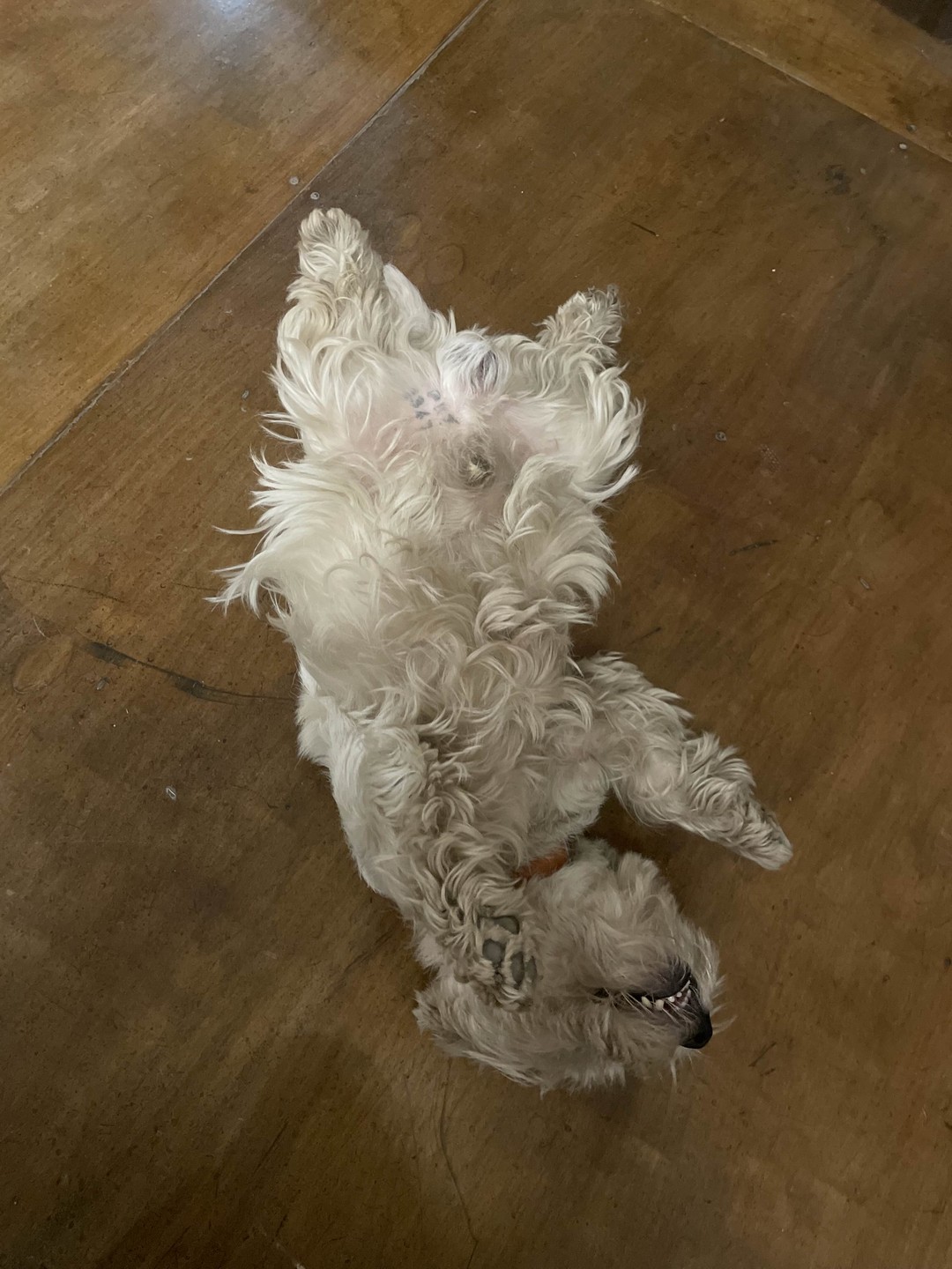 Большое спасибо Наталье за такую увлекательную и интересную экскурсию! Много нового узнала для себя. Заглянули в