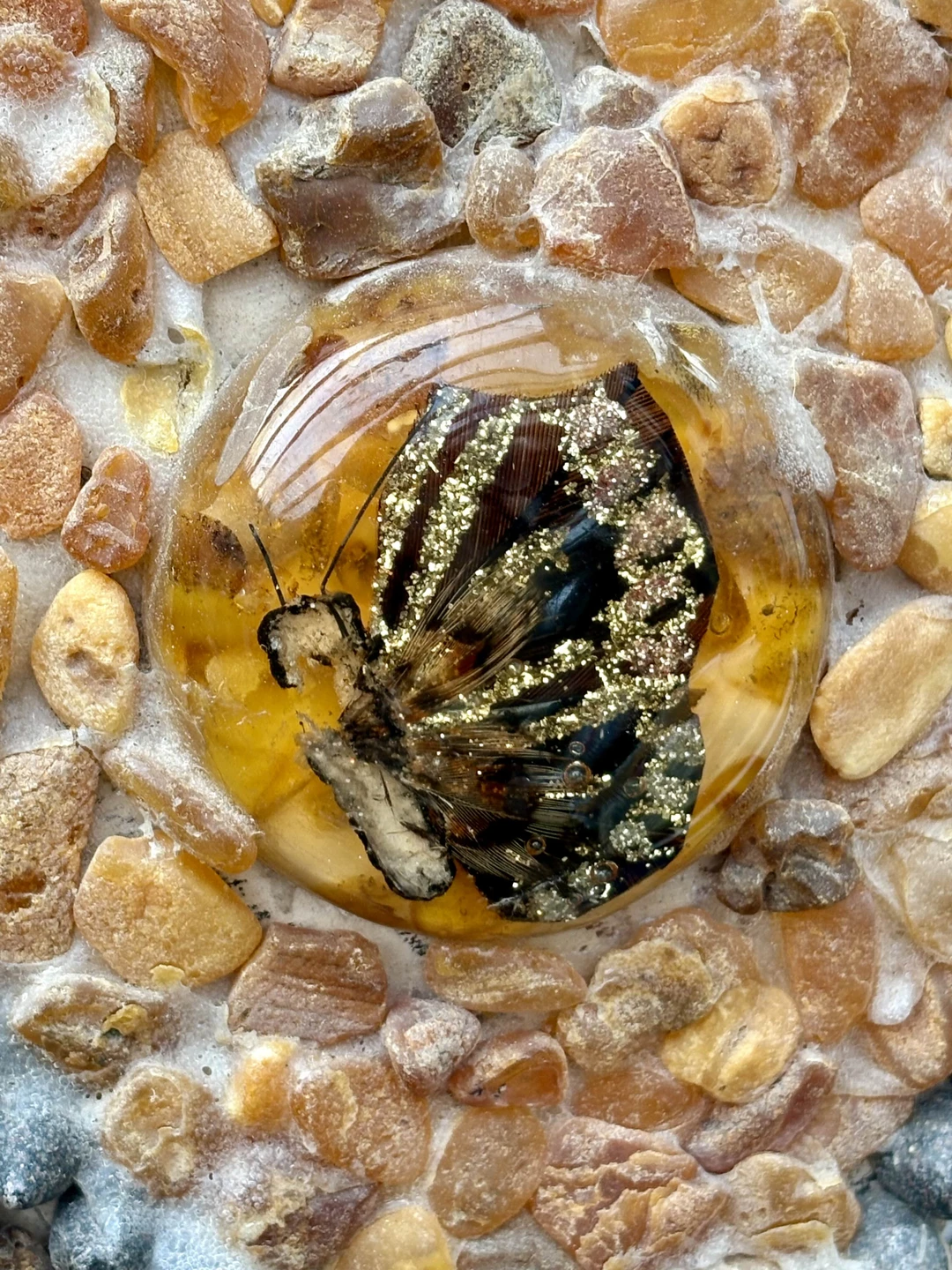 Янтарное солнце Калининграда (анна)