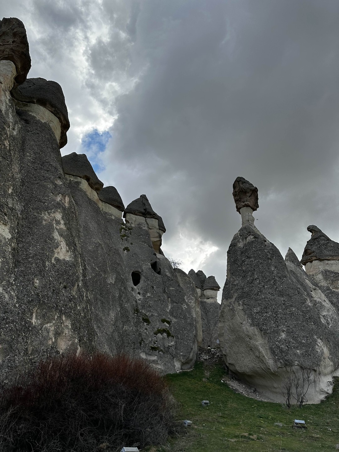 Все очень понравилось, Гид рассказала много интересного)