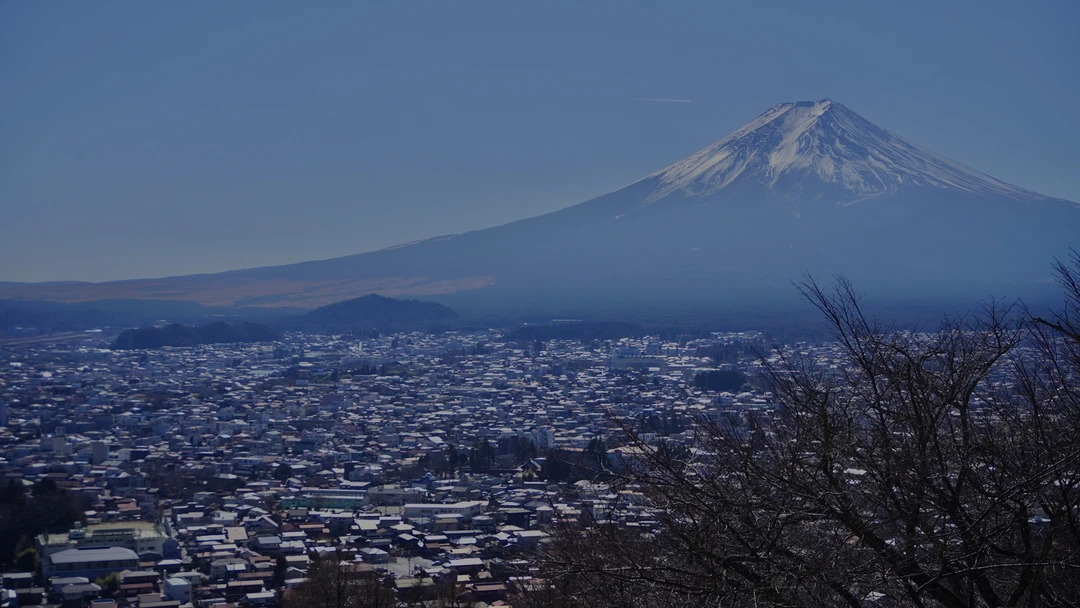 Хочется выразить огромную благодарность за чудесную поездку! Безумно понравилась экскурсия и гид Татьяна! Остались невероятно довольны всей семьей☺️