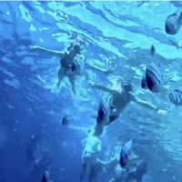 Фото отзыва 3: экскурсия "Встреча с дельфинами и снорклинг у побережья Хургады"