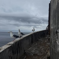 Фото отзыва 3: экскурсия "Путешествие на маяк Анива"