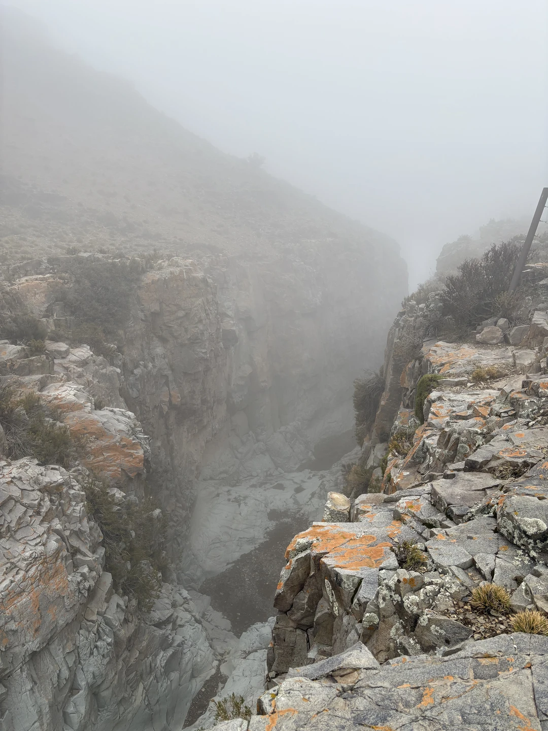 Это был действительно особенный опыт. Вячеслав интересный собеседник, который искренне любит природу и знает, как показать самые увлекательные места