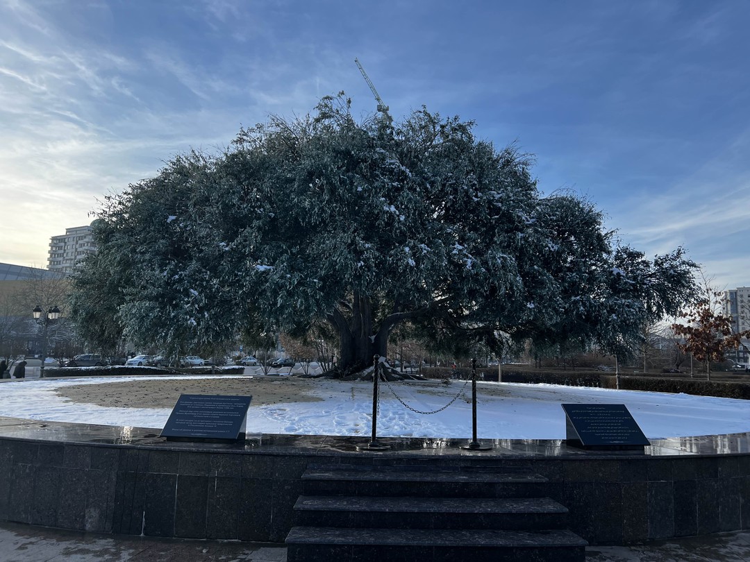 Спасибо! Очень позитивная прогулка и беседа, активный диалог! Сайд хороший и интересный рассказчик!