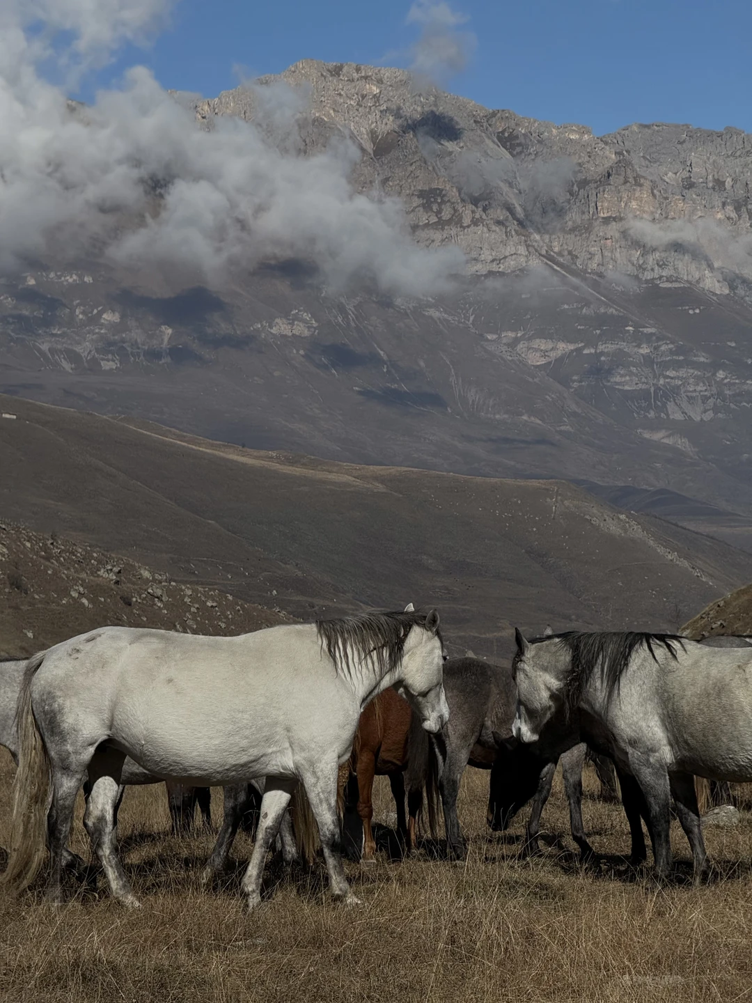 Это были очень насыщенные 3 дня, о которых мы вспоминаем уже 2 неделю, вернувшись домой