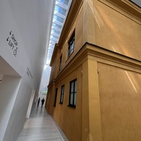 Фото отзыва 3: экскурсия "«Синий Всадник» и Василий Кандинский"