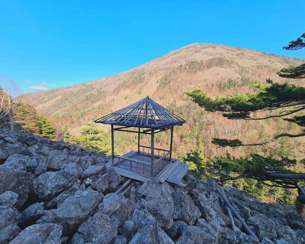 Познавательная прогулка по приморской тайге