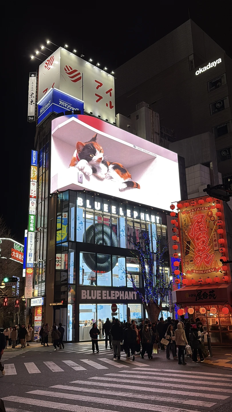 Дмитрий устроил нам интересное и яркое погружение в историю Японии. Он также показал, как прошлое повлияло