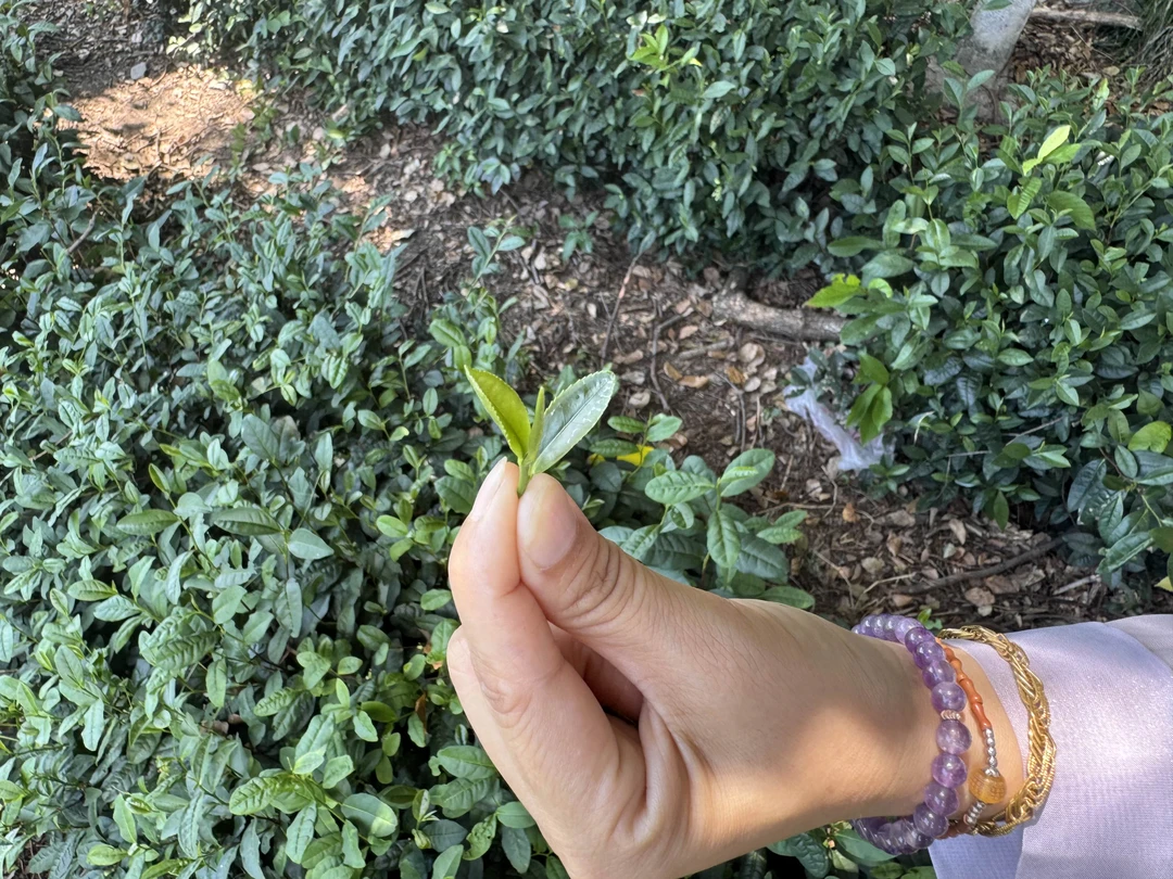 Сегодня я посетила прекрасный Ханчжоу