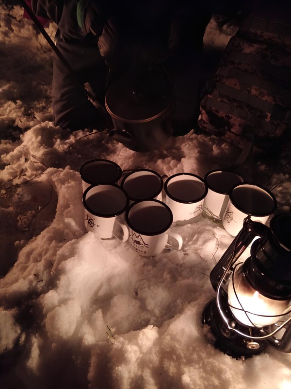 Виды Квест-экскурсия «Дремучий лес»