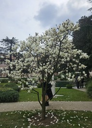 Фото отзыва 2: экскурсия "Мечеть Сулеймание, дворцы Долмабахче и Йылдыз"