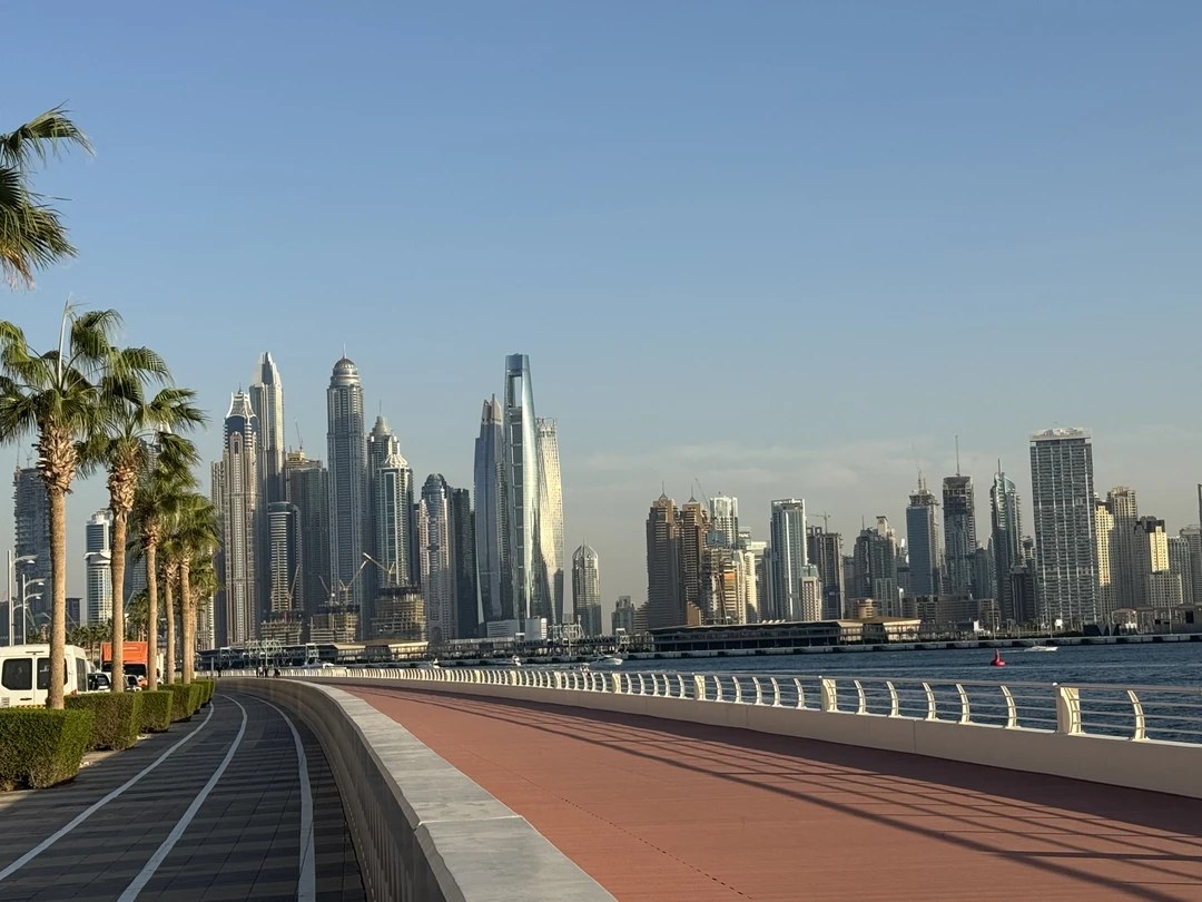 Мы были транзитом через ОАЭ и съездили на индивидуальную обзорную экскурсию по Дубаю. На экскурсию Фахриддин